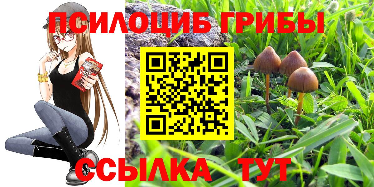 Галлюциногенные грибы мицелий Татарск